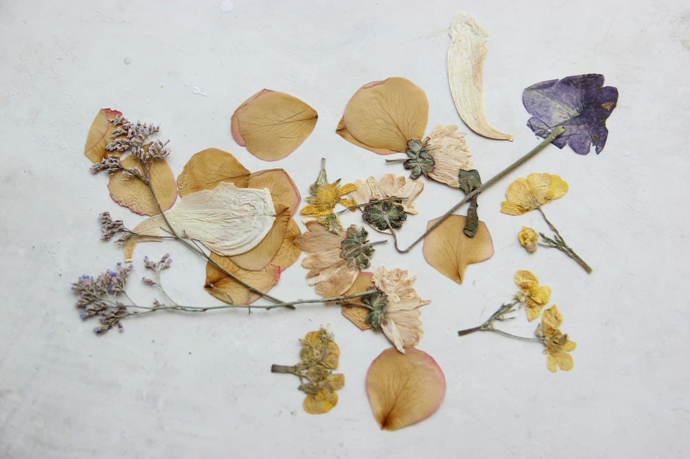 Dried Flowers for Resin & Candles