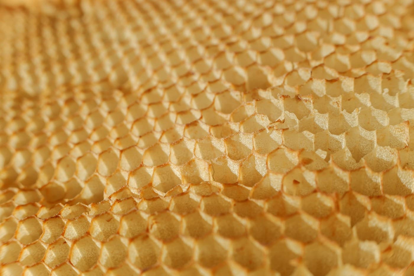 Beeswax Honeycomb Sheets (10 pack)