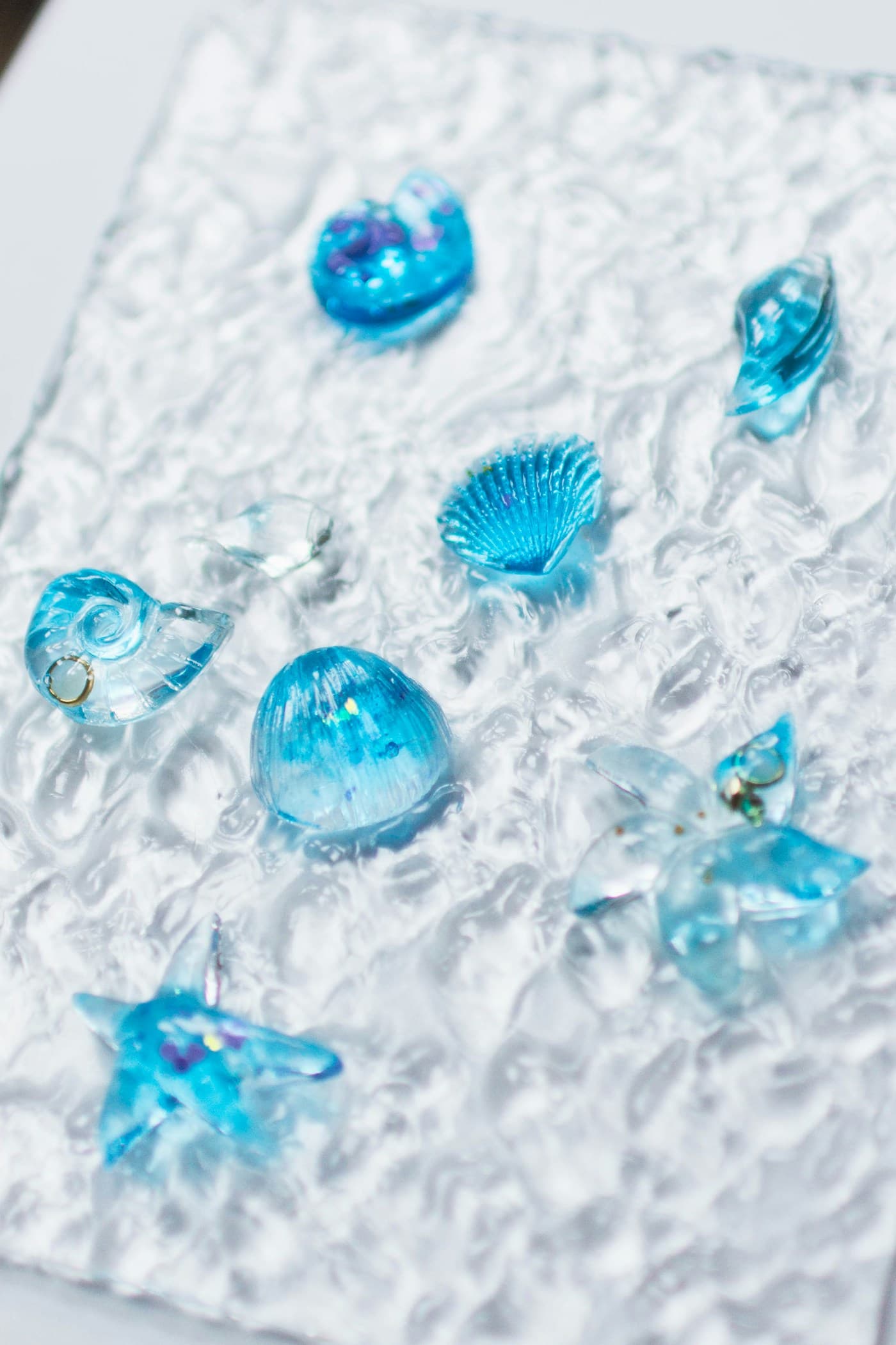 Seashell Silicone Mould